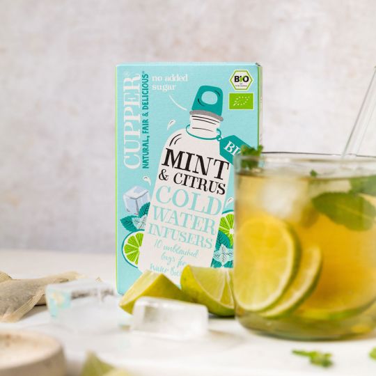 MINT & CITRUS COLD WATER INFUSERS